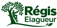 elagage-regis-elagueur